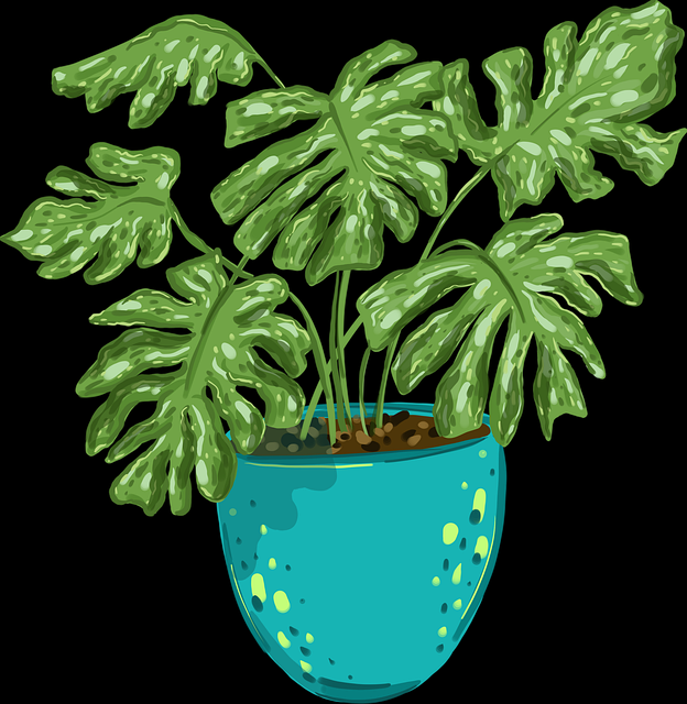 【长文】黑料每日黑幕揭晓：全景扫描综合点评